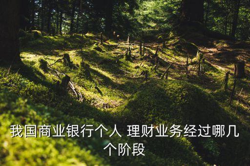 我國(guó)商業(yè)銀行個(gè)人 理財(cái)業(yè)務(wù)經(jīng)過(guò)哪幾個(gè)階段