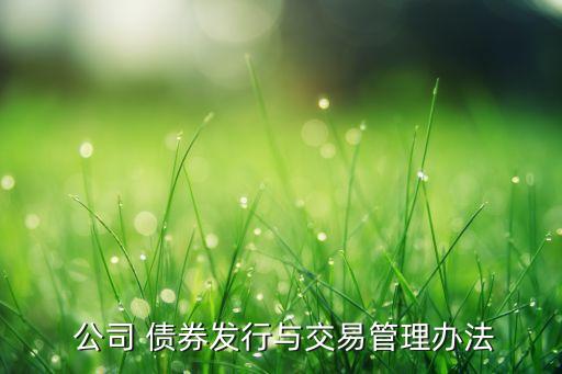  公司 債券發(fā)行與交易管理辦法