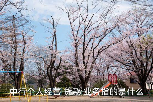 中行個(gè)人經(jīng)營 貸款 業(yè)務(wù)指的是什么