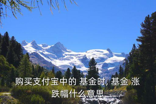 購(gòu)買(mǎi)支付寶中的 基金時(shí), 基金 漲跌幅什么意思