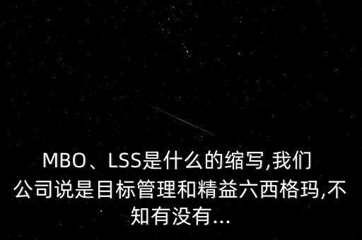 MBO、LSS是什么的縮寫,我們 公司說是目標管理和精益六西格瑪,不知有沒有...