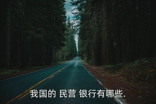 我國(guó)的 民營(yíng) 銀行有哪些.