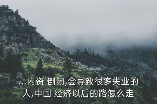 ...內(nèi)資 倒閉,會導致很多失業(yè)的人,中國 經(jīng)濟以后的路怎么走