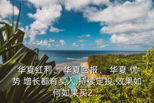  華夏紅利、 華夏回報、 華夏 優(yōu)勢 增長都有買入,持續(xù)定投,效果如何如果買2...