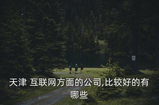 天津 互聯(lián)網方面的公司,比較好的有哪些