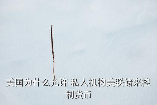 美國為什么允許 私人機構美聯(lián)儲來控制貨幣