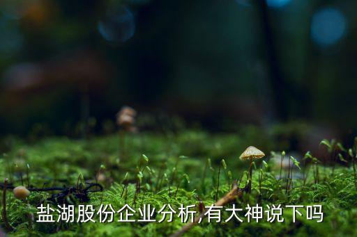 2015鹽湖集團(tuán)各公司業(yè)績