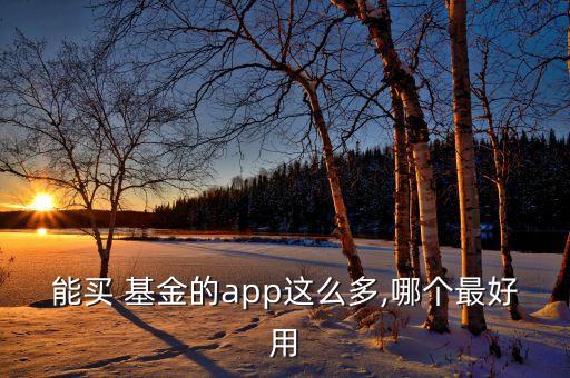 互聯(lián)網(wǎng)基金對(duì)比,招商互聯(lián)網(wǎng)基金