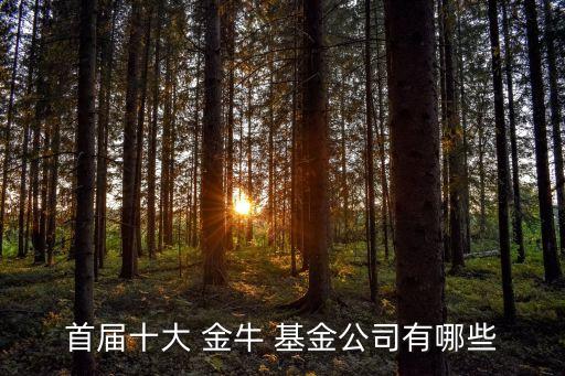 2013年度金?；?/></a></span><span id=