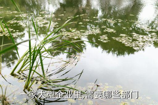 泰國(guó)最大的銀行,泰國(guó)盤(pán)谷銀行