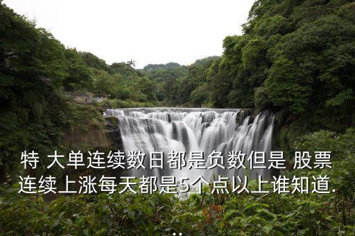 特 大單連續(xù)數(shù)日都是負數(shù)但是 股票連續(xù)上漲每天都是5個點以上誰知道...